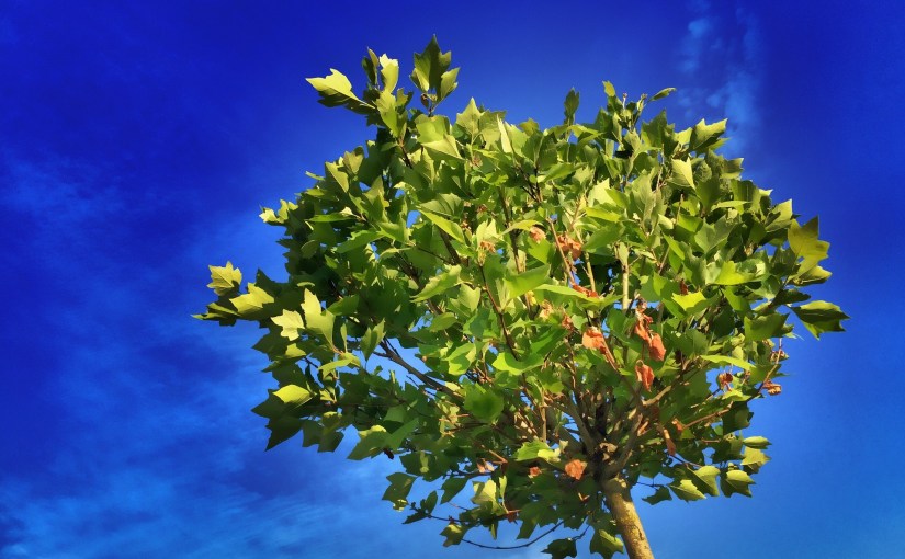 心情不好，日子不會好