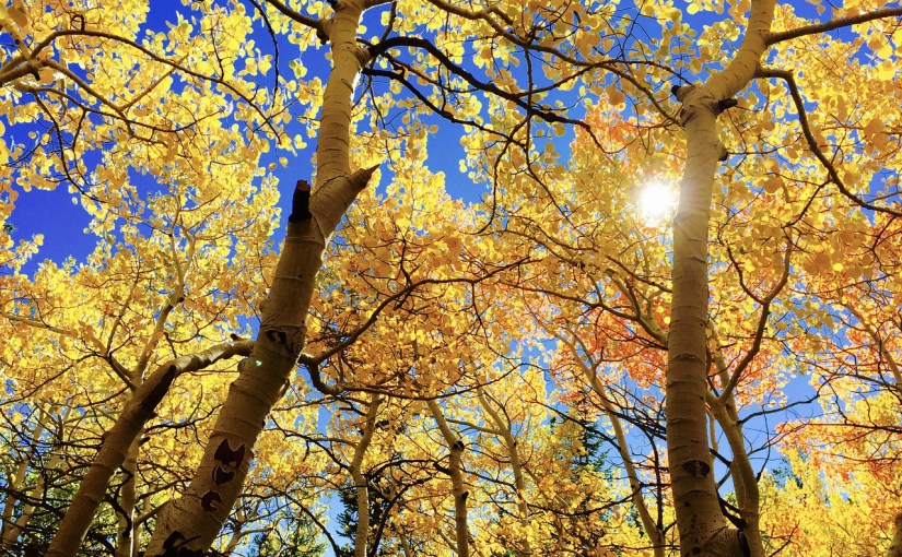 相信自己，就能一直做下去